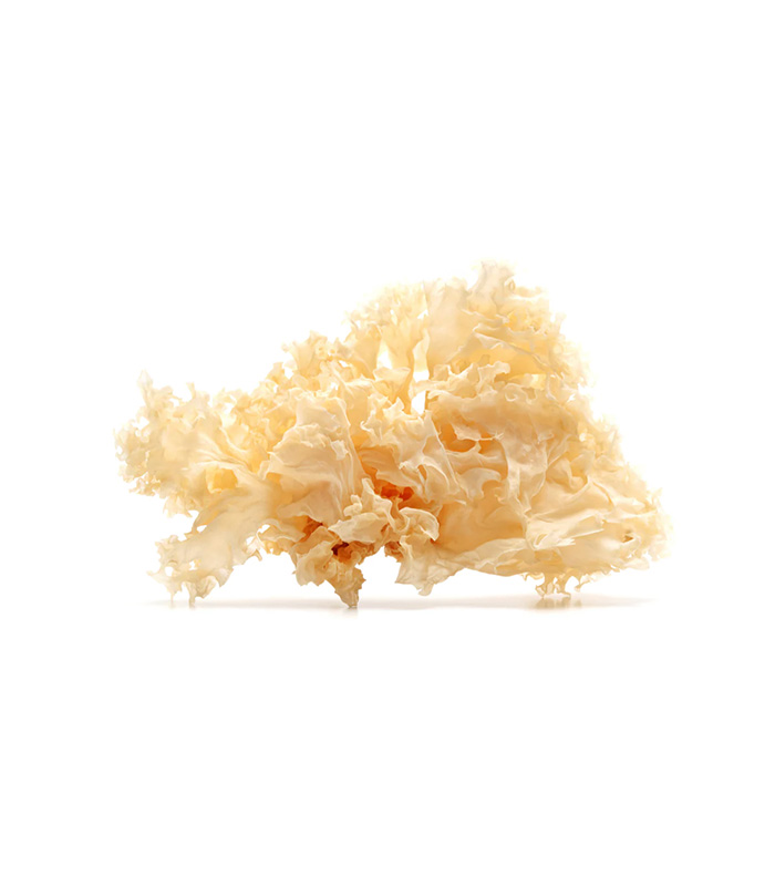 vg-vaf-m-8.jpg Dried White Fungus – Bild 1
